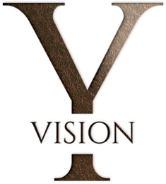 Y VISION